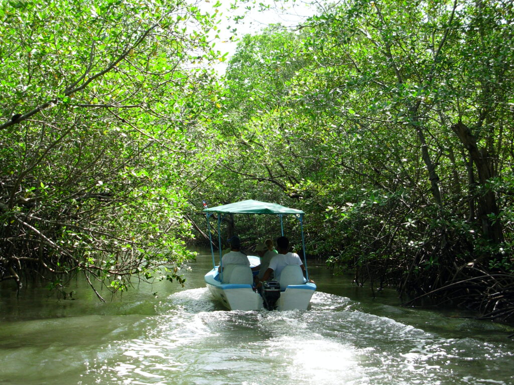 costa rica (30)