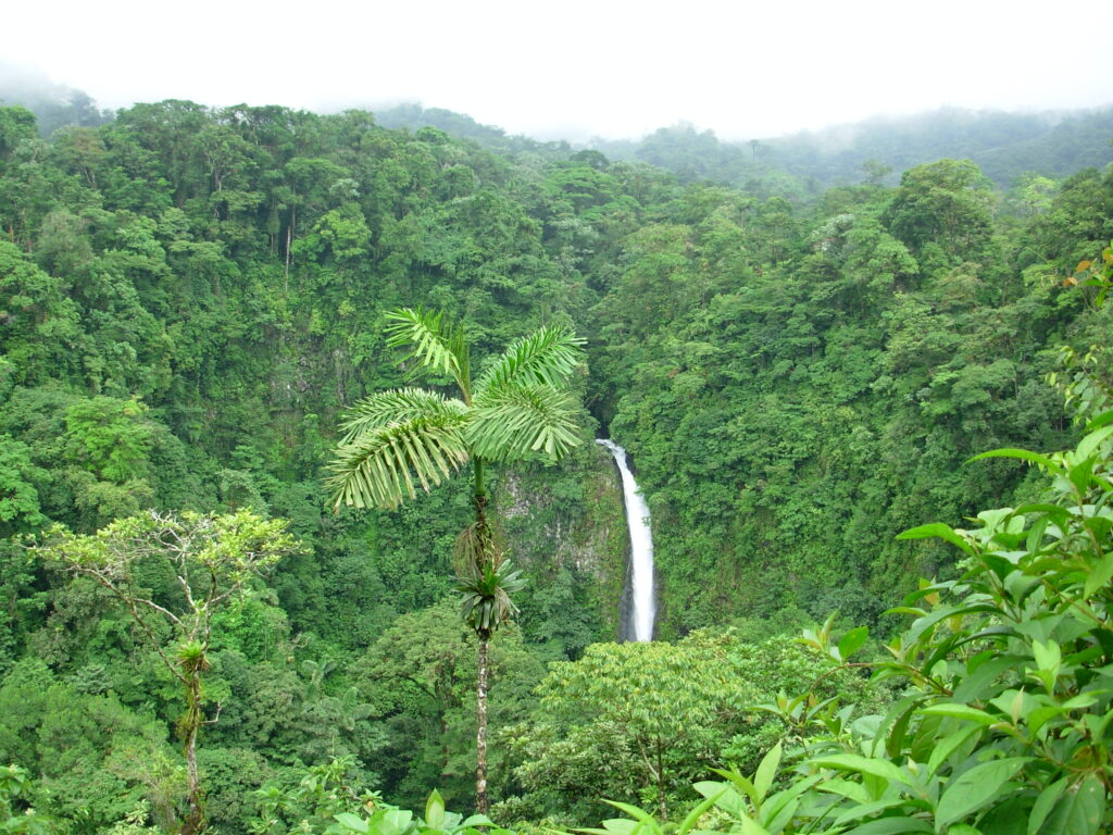 costa rica deel 3 074