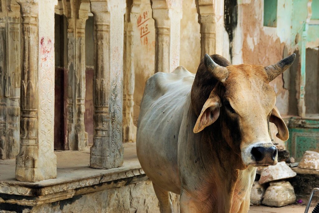 india-972736_1280