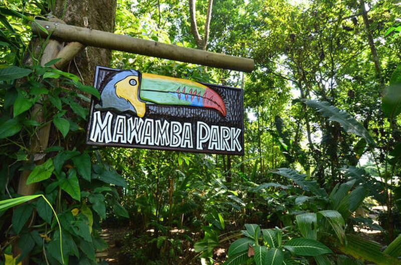 mawamba-park-frogs-iguanas