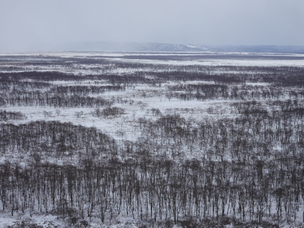 Winter in Japan 2023170