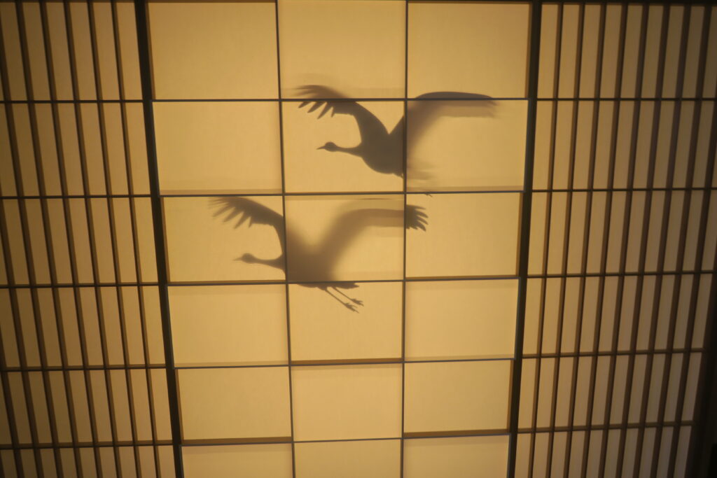 Winter in Japan 2023186