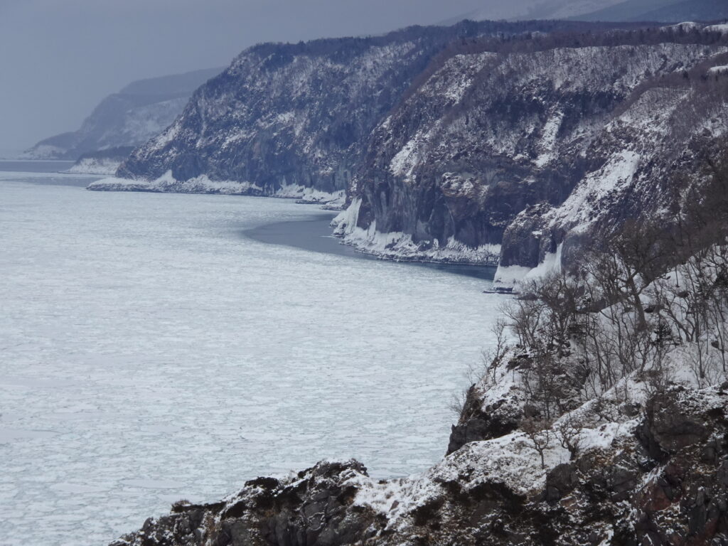 Winter in Japan 2023259